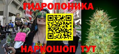 индика Бузулук